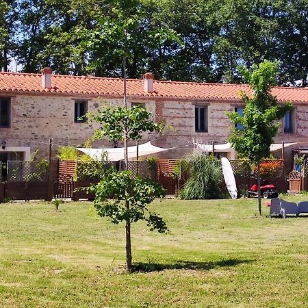 סן סיפריאן Les Appartements Du Mas Riols מראה חיצוני תמונה